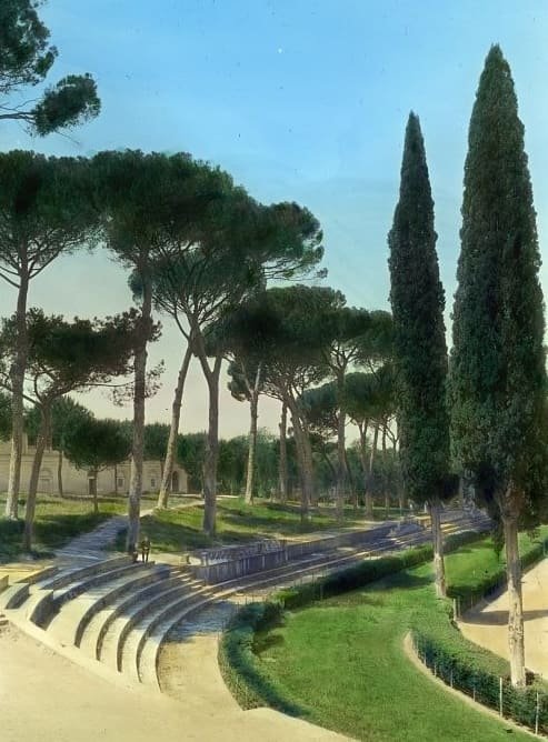 A quiet park of pine trees - placeholder photograph pending real practice images